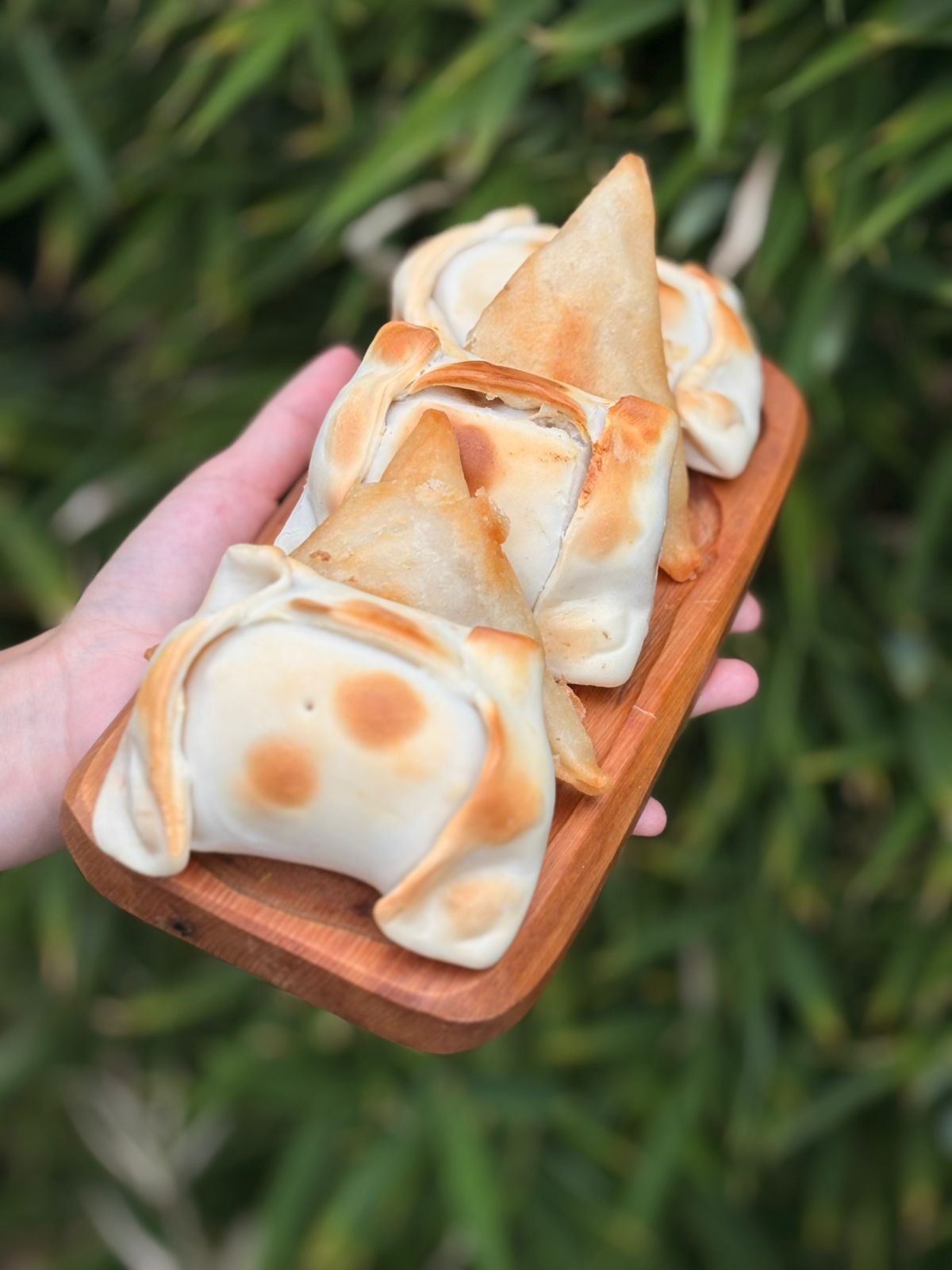 Empanadas Mixtas Pino y Pollo Mandarin 20 unidades